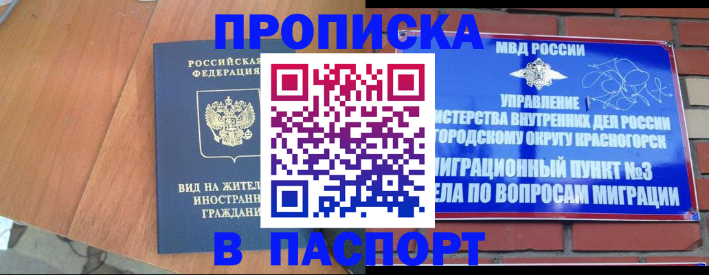 найти адрес прописки в Завитинске